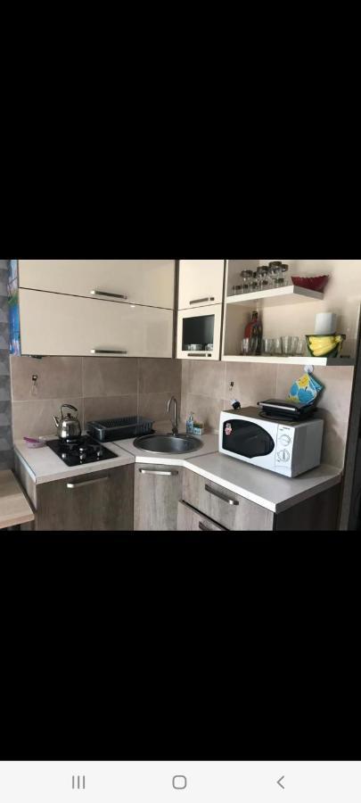 Appartamento Londa Borjomi Esterno foto