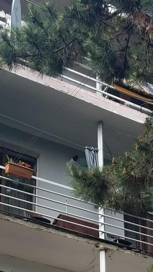 Appartamento Londa Borjomi Esterno foto